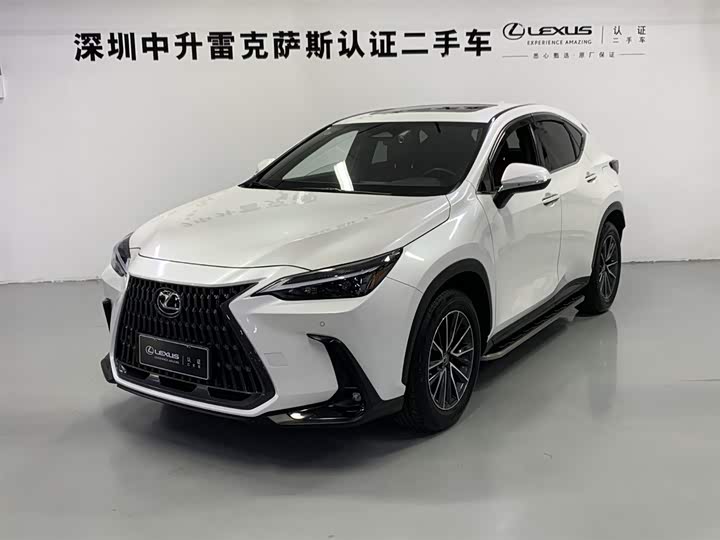 Фото 1 - Lexus NX Hybrid