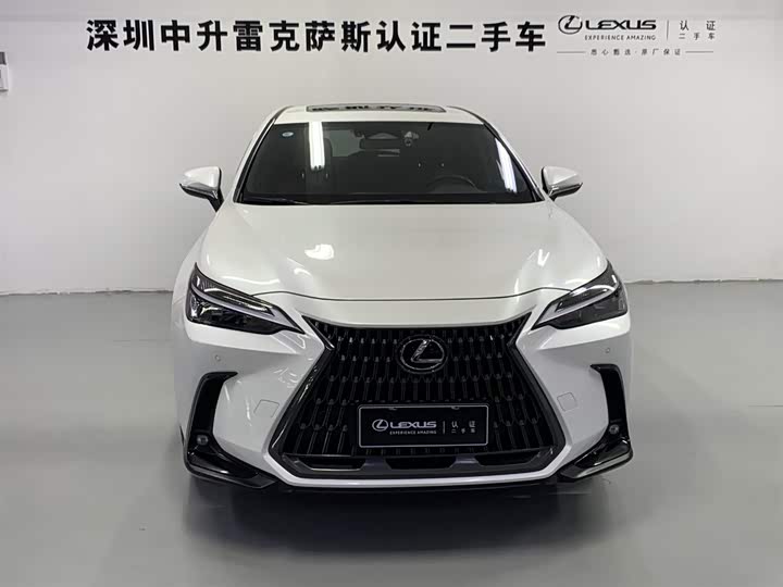 Фото 2 - Lexus NX Hybrid