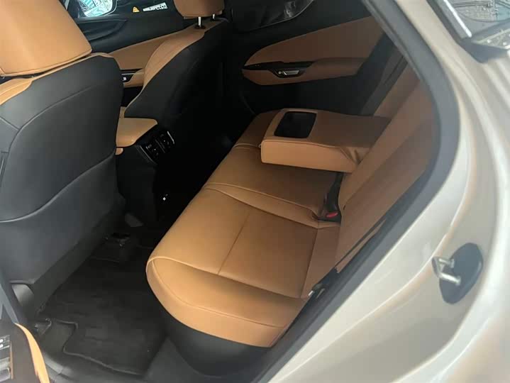 Фото 6 - Lexus NX Hybrid