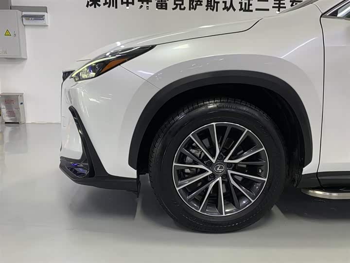 Фото 7 - Lexus NX Hybrid