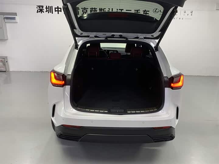 Фото 8 - Lexus NX Hybrid