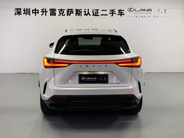 Фото 9 - Lexus NX Hybrid