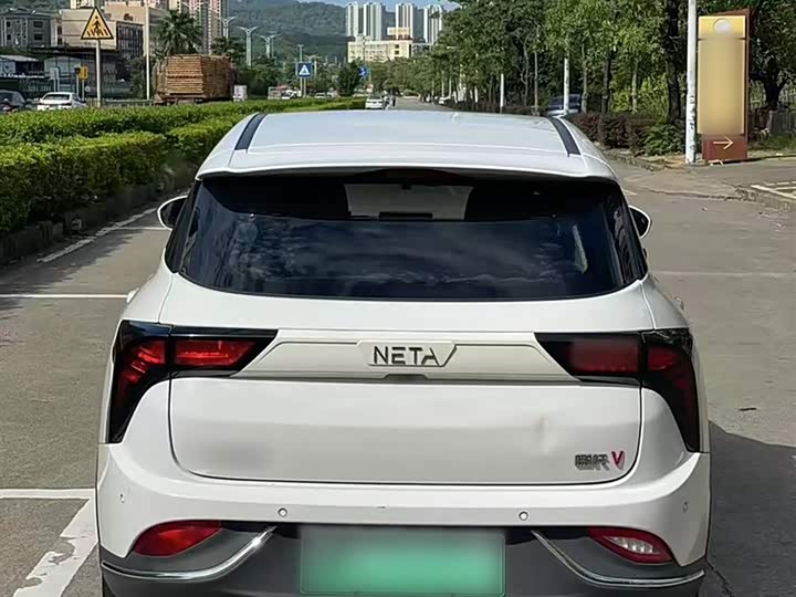 Фото 4 - Hozon V