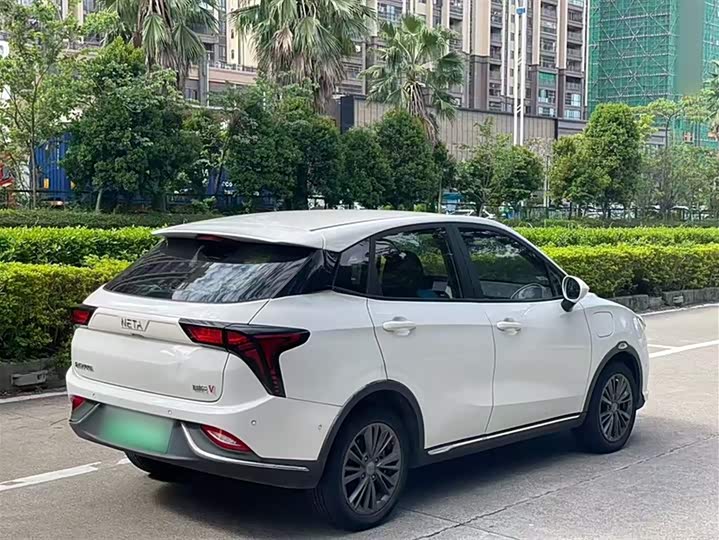 Фото 8 - Hozon V