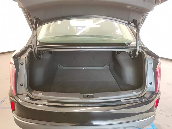 Фото 4 - Hongqi E-QM5