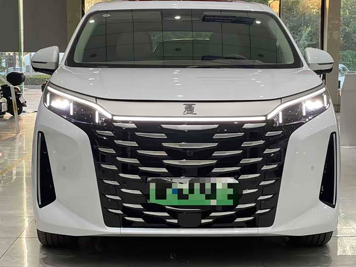 Фото 2 - BYD Xia