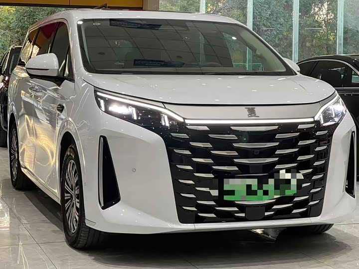 Фото 3 - BYD Xia