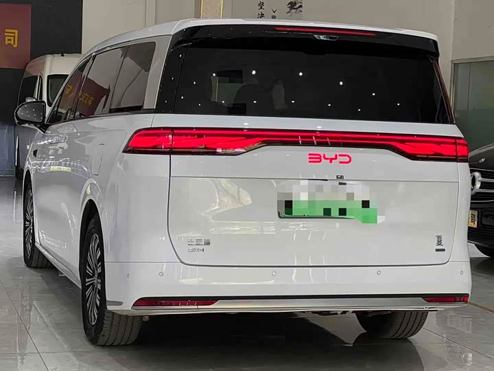 Фото 5 - BYD Xia