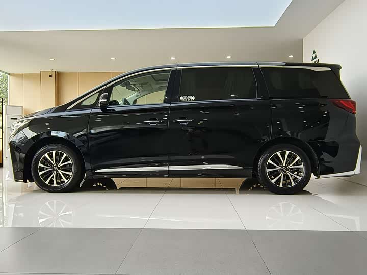 Фото 4 - GAC Trumpchi M8