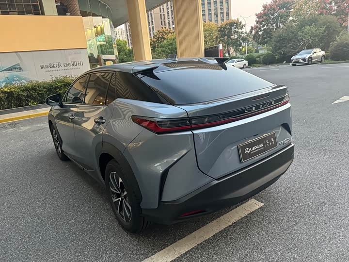 Фото 4 - Lexus RZ