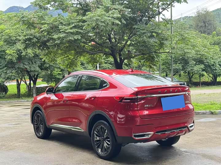 Фото 9 - Haval F7x