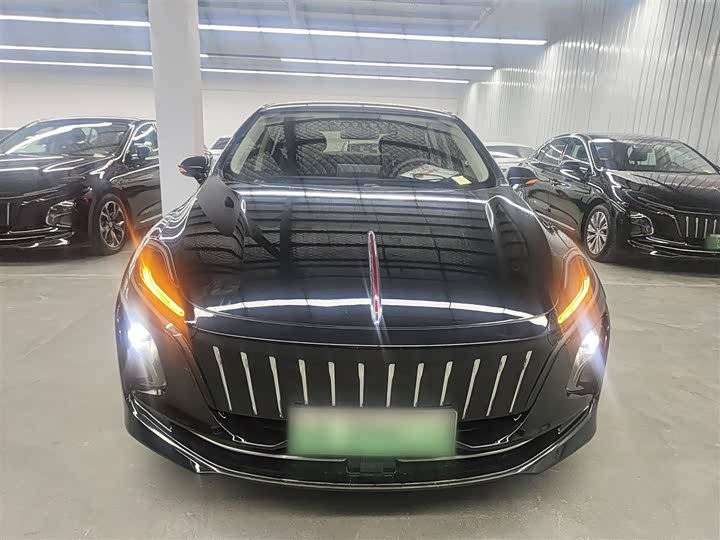 Фото 3 - Hongqi E-QM5