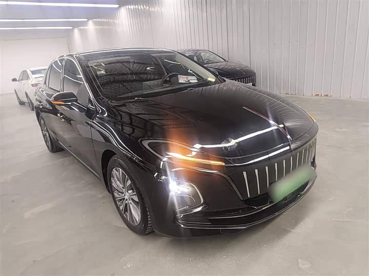 Фото 4 - Hongqi E-QM5