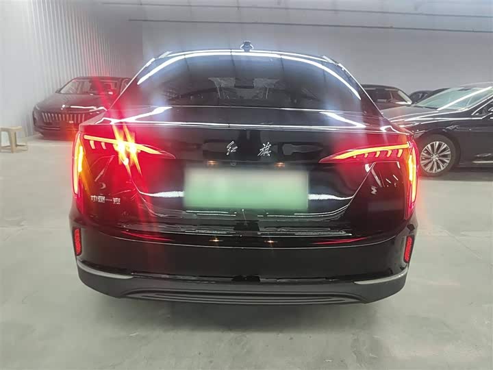 Фото 6 - Hongqi E-QM5