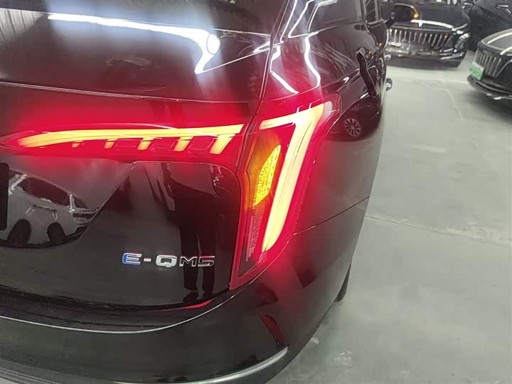 Фото 8 - Hongqi E-QM5