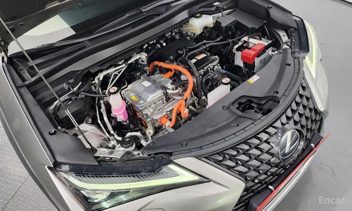 Фото 6 - Lexus UX