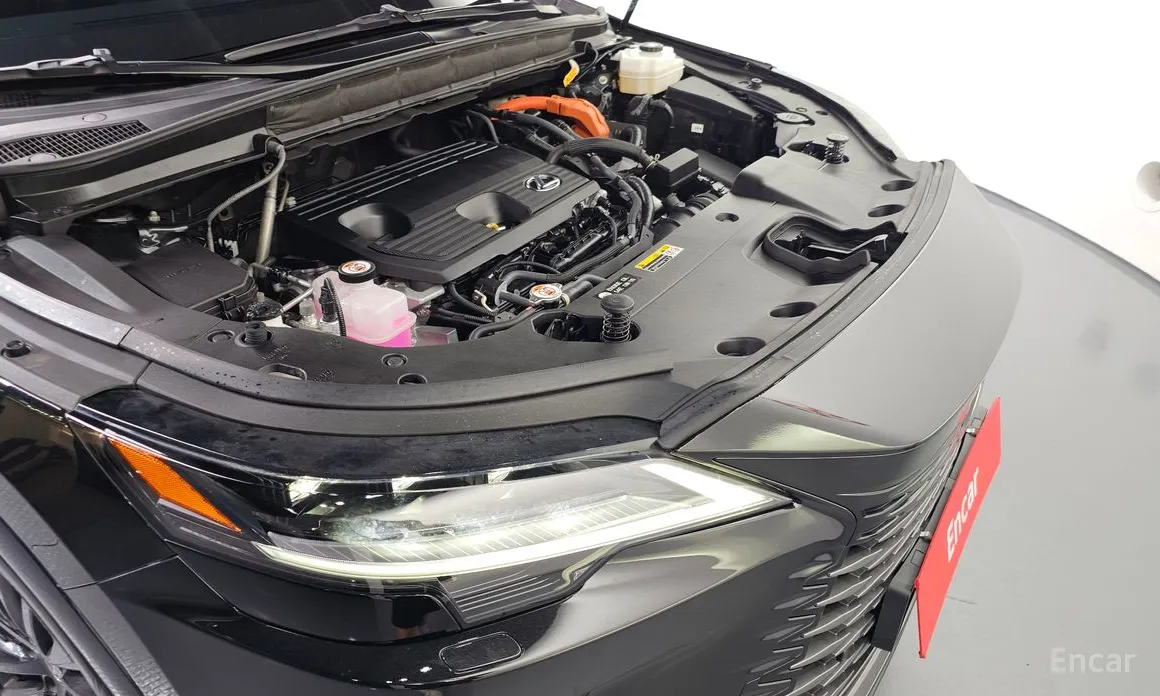 Фото 6 - Lexus RX