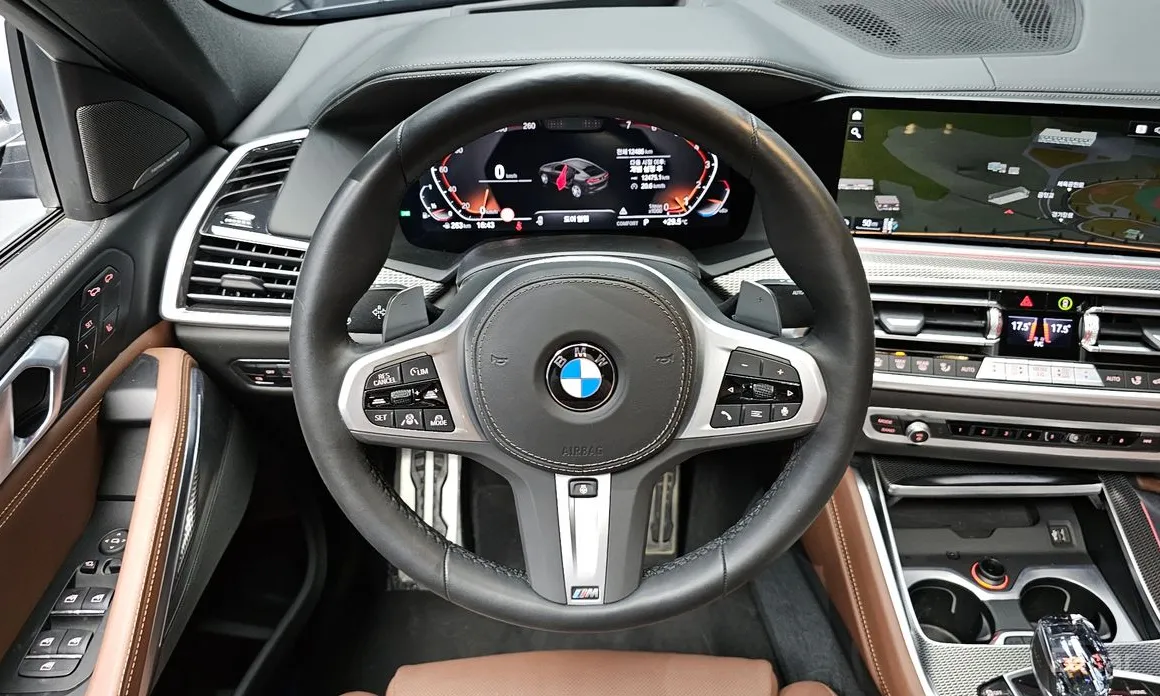 صورة 13 - BMW X6
