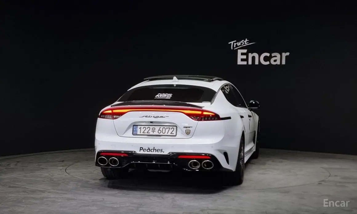 Фото 4 - Kia Stinger