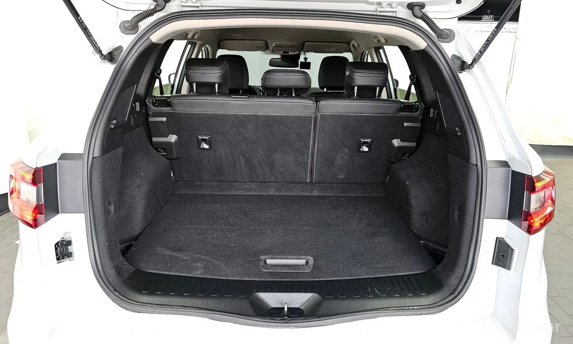 Фото 20 - Renault QM6