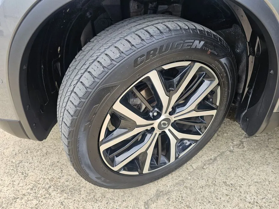 Фото 20 - Renault QM6