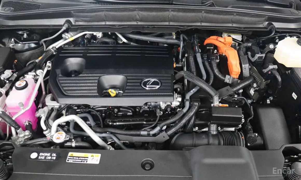 Фото 6 - Lexus RX