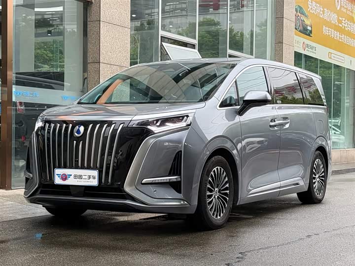 Фото 1 - Denza D9