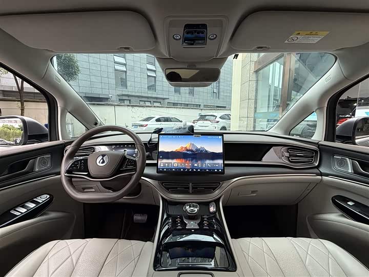 Фото 12 - Denza D9