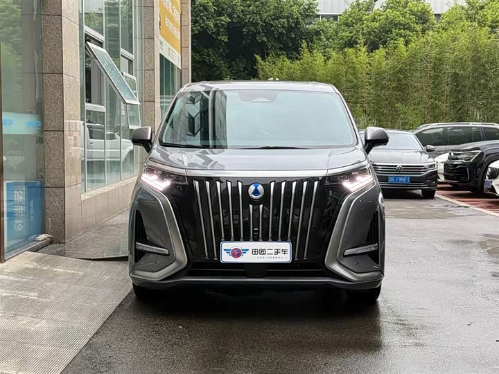 Фото 2 - Denza D9