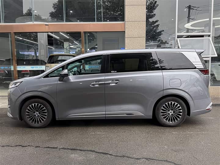 Фото 3 - Denza D9