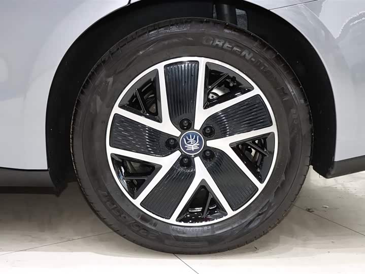 Фото 20 - BYD Qin L