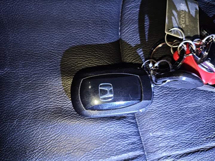 Фото 12 - Honda Elysion