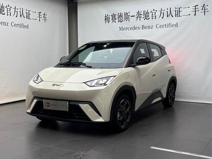 Фото 1 - BYD Seagull