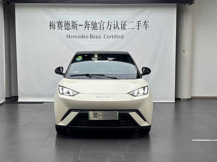 Фото 2 - BYD Seagull