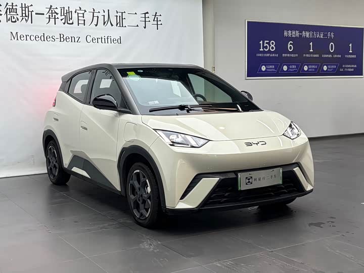 Фото 3 - BYD Seagull