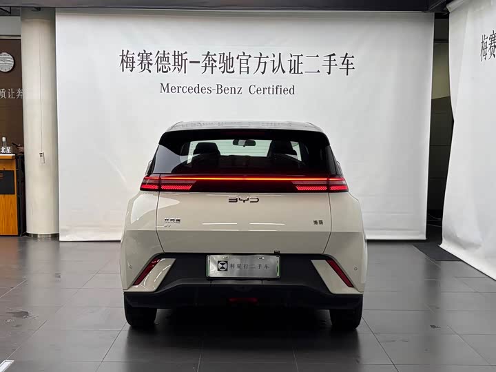 Фото 4 - BYD Seagull