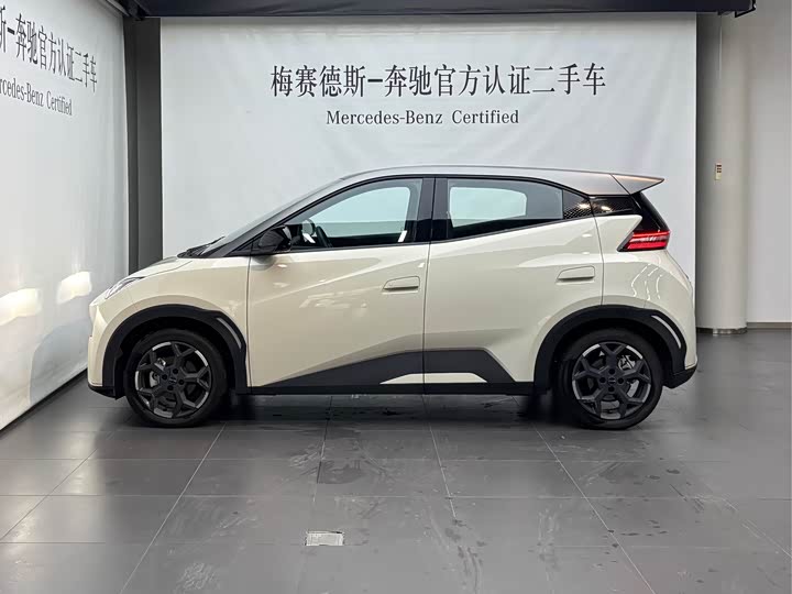 Фото 6 - BYD Seagull