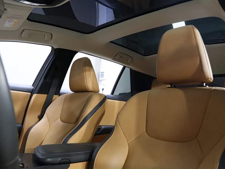 Фото 15 - Lexus RZ