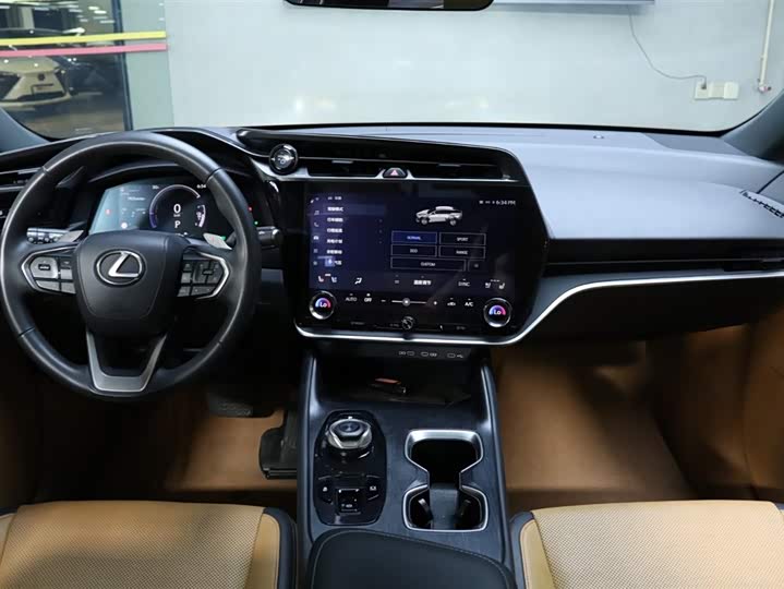 Фото 18 - Lexus RZ