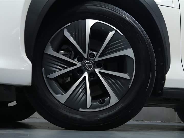 Фото 3 - Lexus RZ