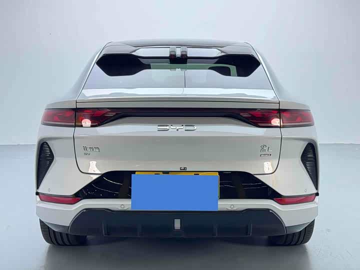 Фото 3 - BYD Song L