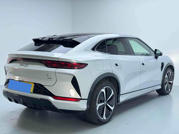 Фото 5 - BYD Song L