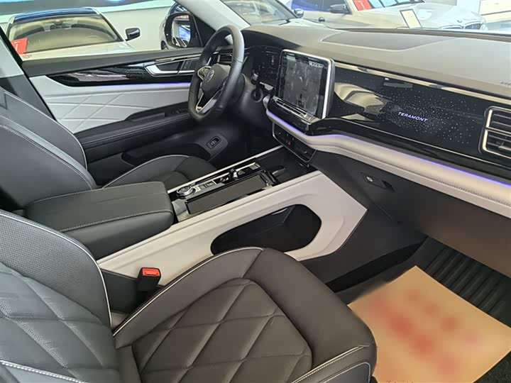 Фото 16 - Volkswagen Teramont Pro