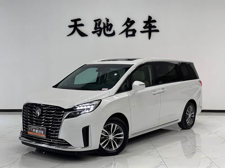 Фото 1 - Buick GL8 ES