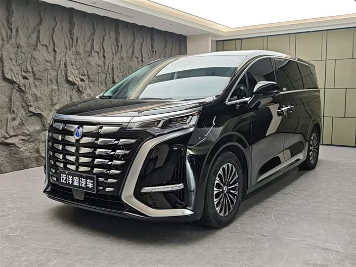 Фото 1 - Denza D9