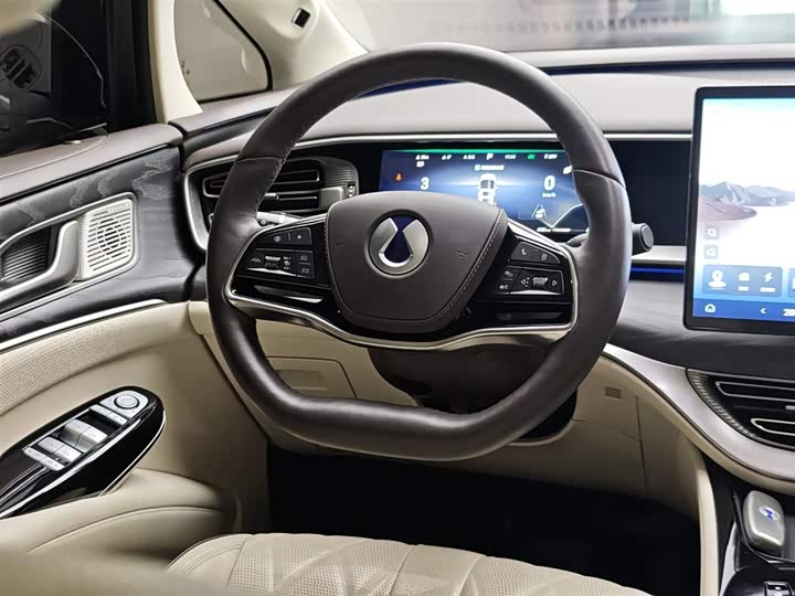 Фото 14 - Denza D9