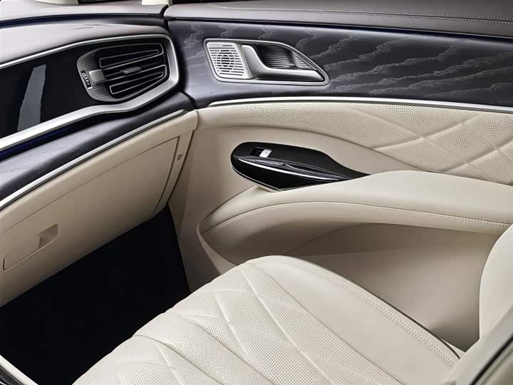 Фото 16 - Denza D9