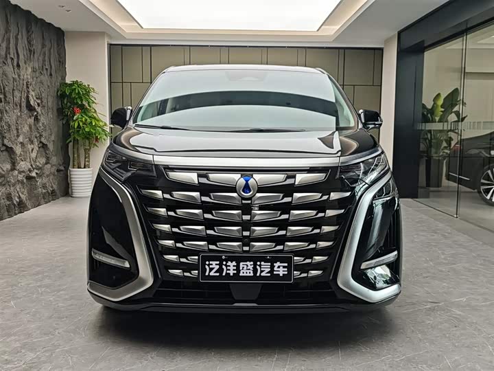 Фото 2 - Denza D9