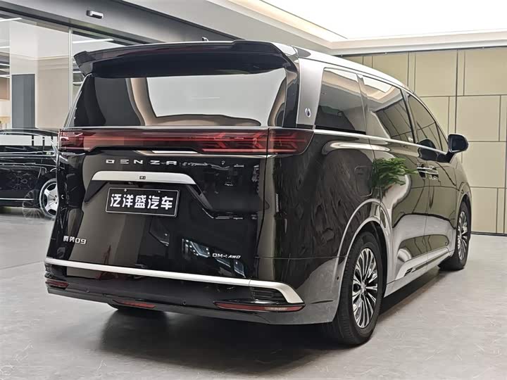 Фото 20 - Denza D9