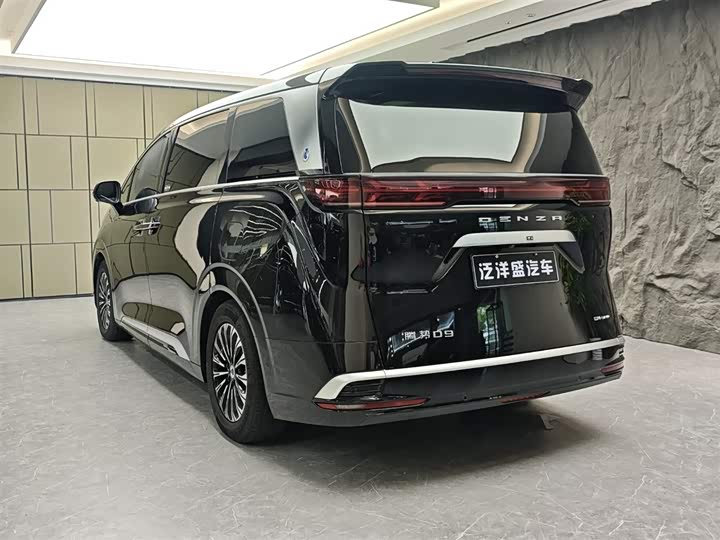 Фото 21 - Denza D9